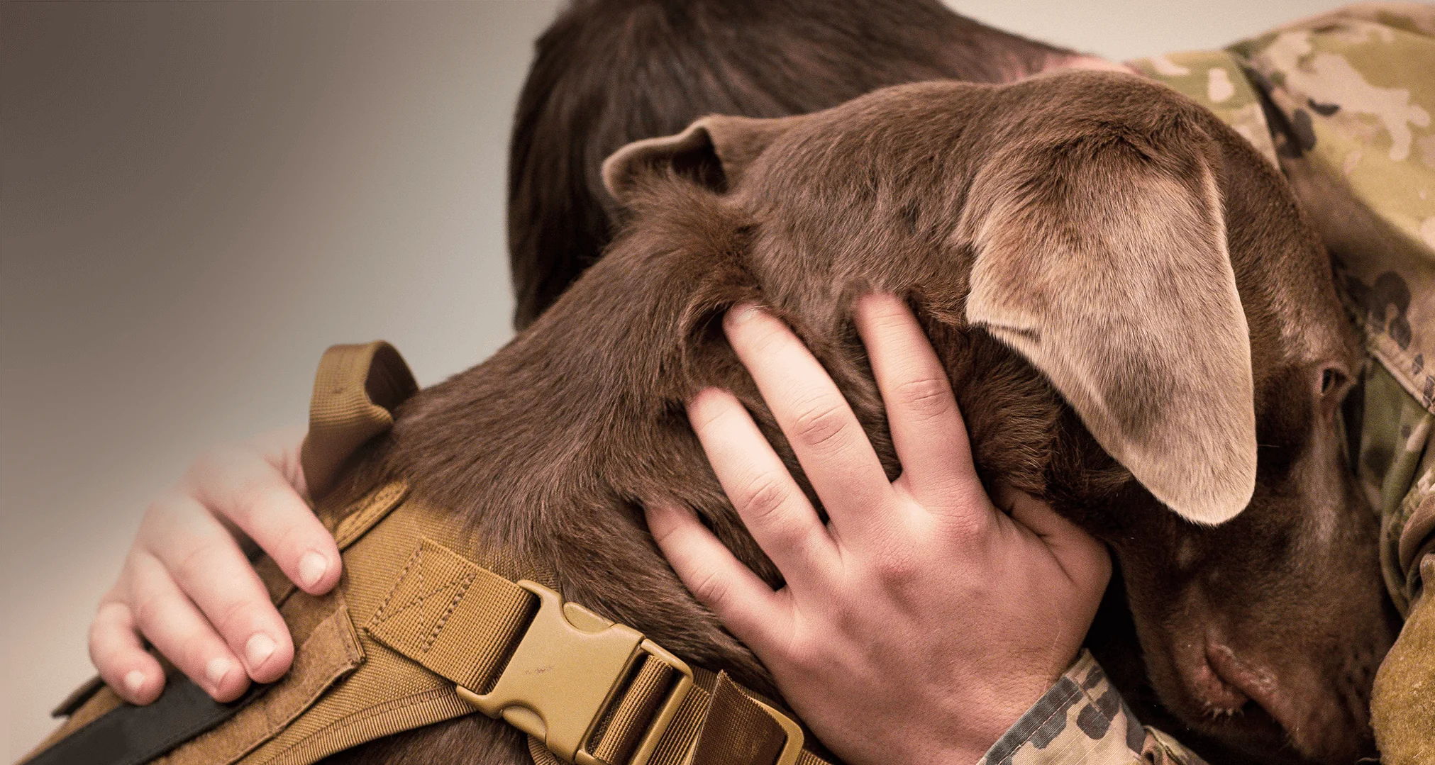 Gear for Your Heroic Companion